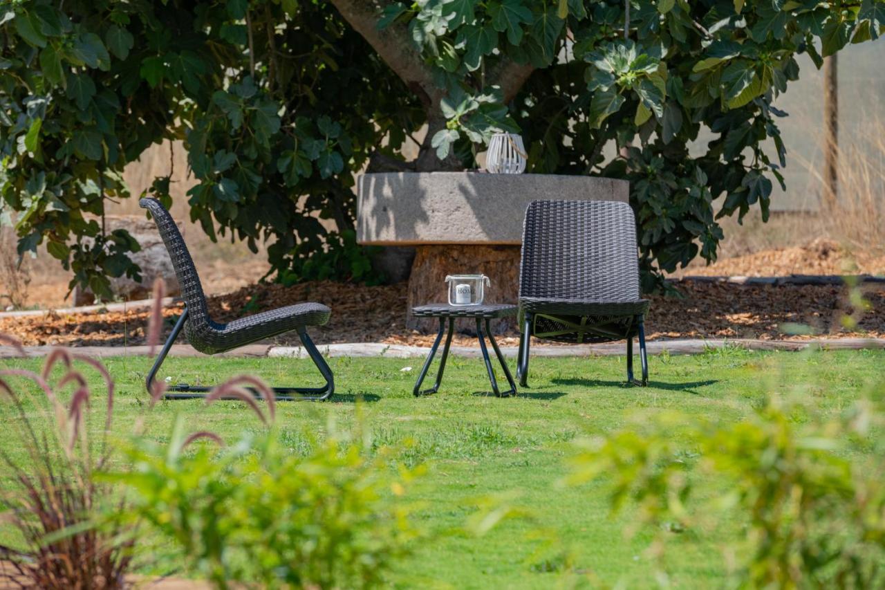 Casas Da Bica - Turismo Espaço Rural Cercal do Alentejo Extérieur photo
